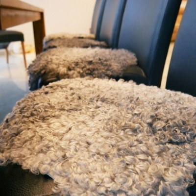 Tannery Poland- Decorative sheepskins