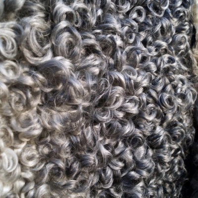 Tannery Poland- Decorative sheepskins