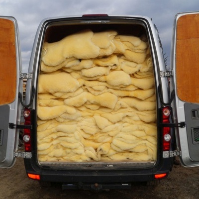 Tannery Poland- Decorative sheepskins