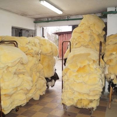 Tannery Poland- Decorative sheepskins
