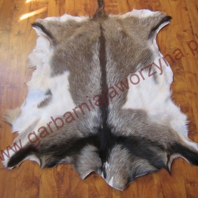 Tannery Poland- Decorative sheepskins