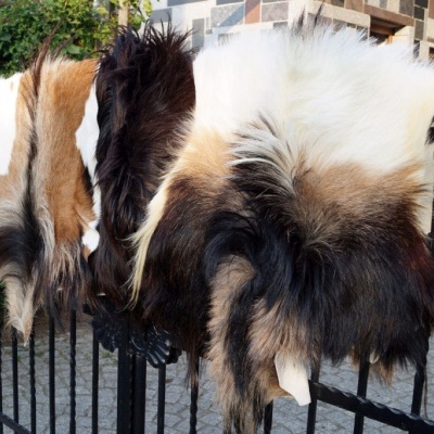 Tannery Poland- Decorative sheepskins