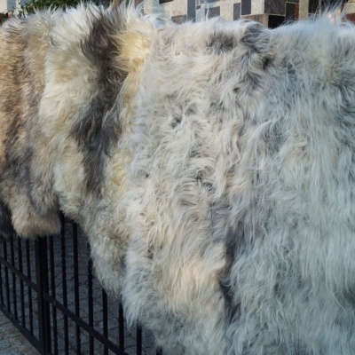 Tannery Poland- Decorative sheepskins