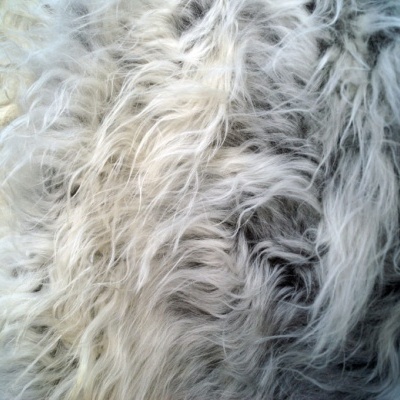 Tannery Poland- Decorative sheepskins