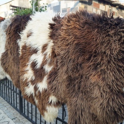 Tannery Poland- Decorative sheepskins