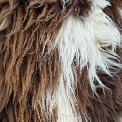 Tannery Poland- Decorative sheepskins