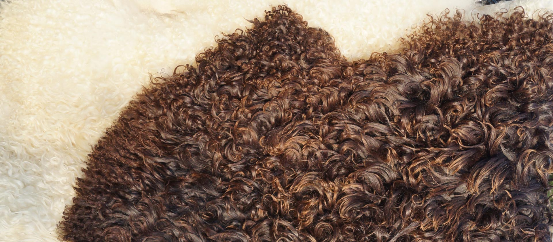 Tannery Poland- Decorative sheepskins